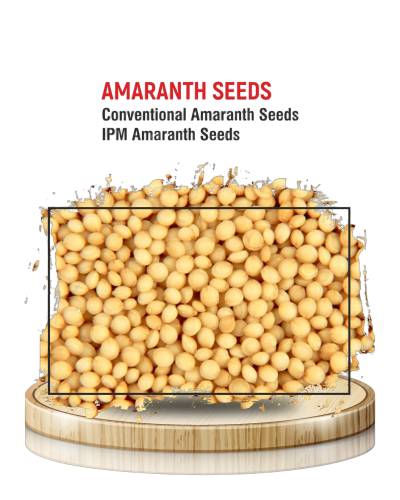 Amaranth Grain (Rajgira)