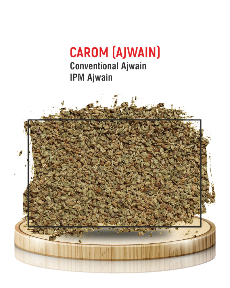 Carom Seeds (Ajwain)