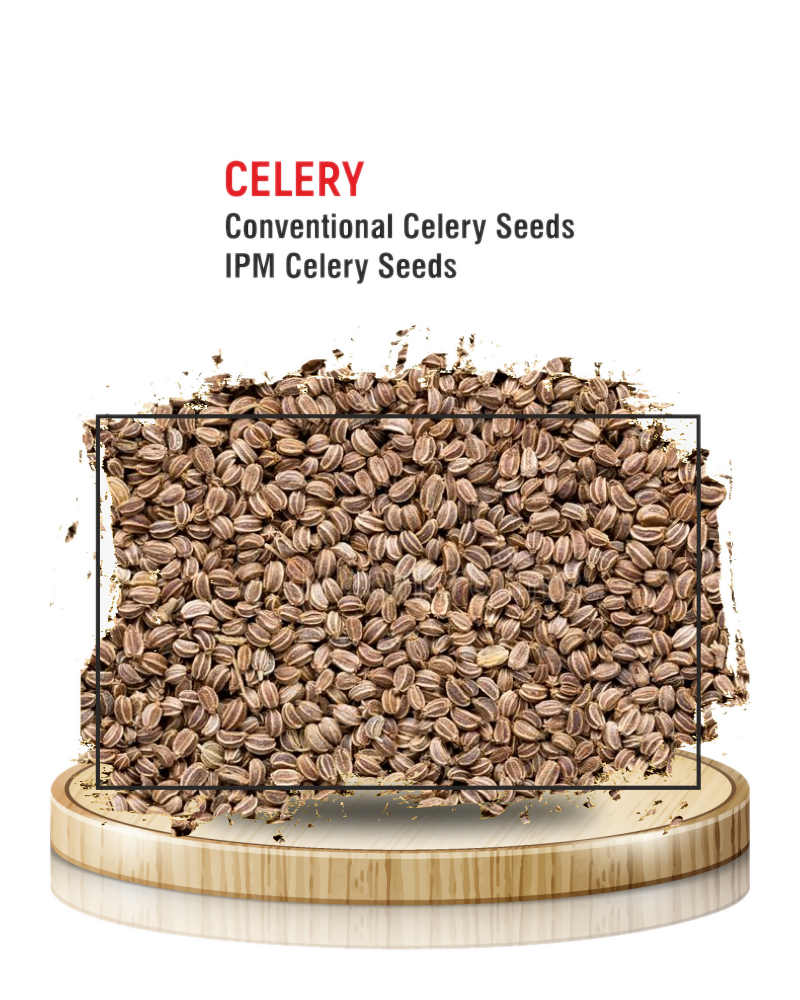 Celery Seeds