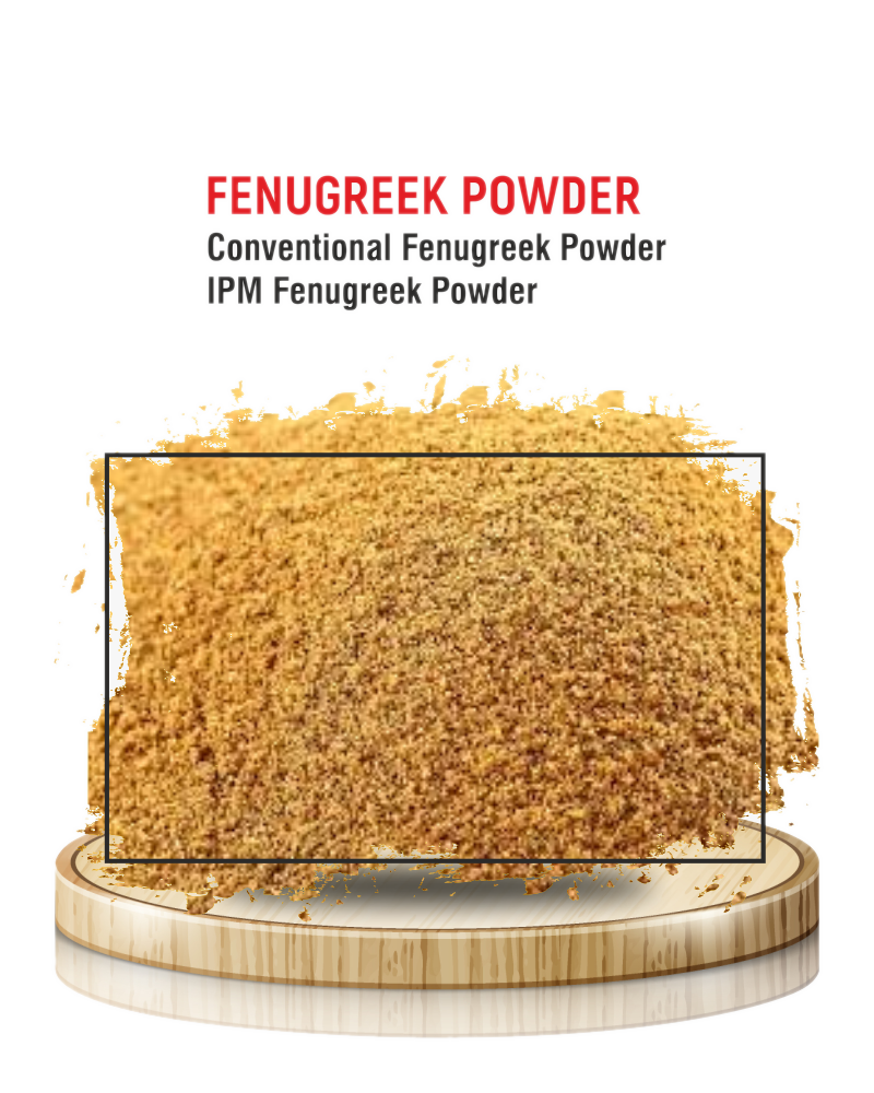 Fenugreek Seeds (Methi)