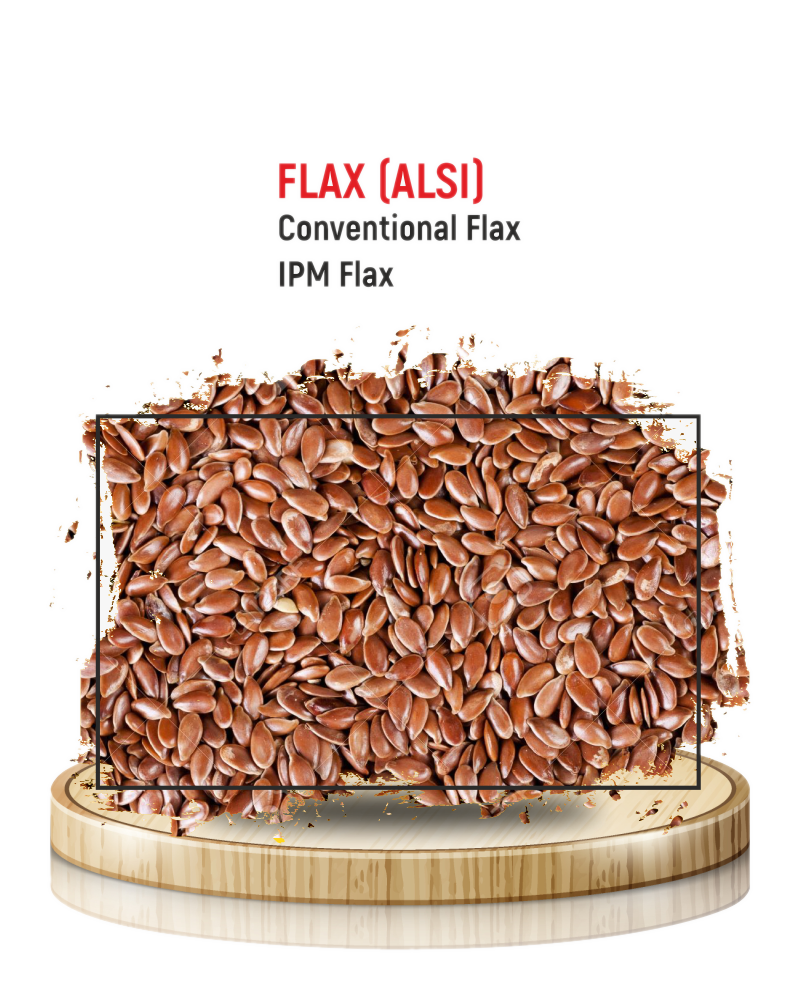Flax Seeds (Alsi)