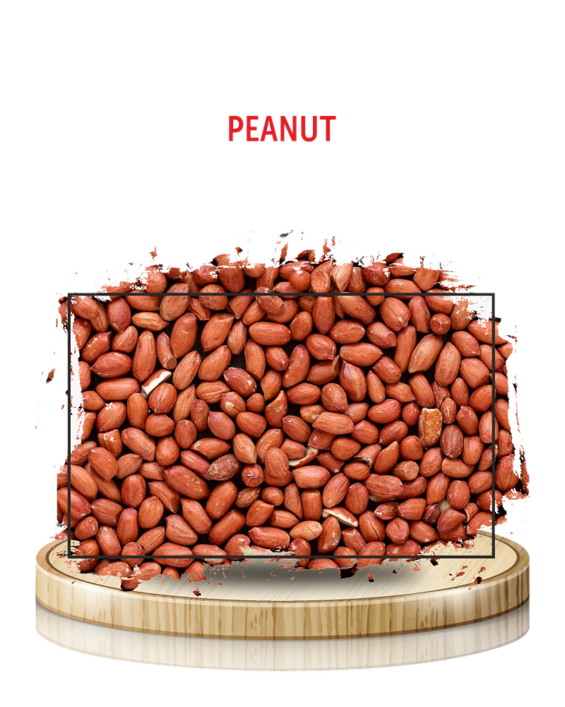 Peanut Kernels (Groundnut)