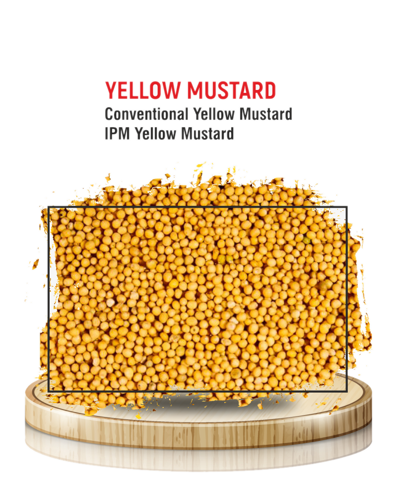Yellow Mustard Seeds